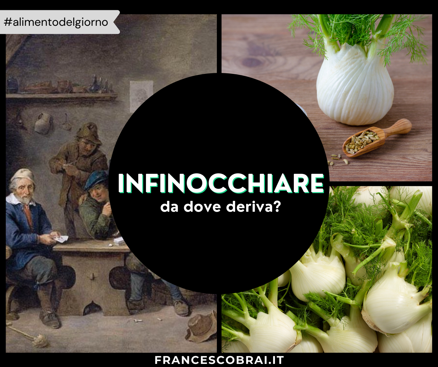 Il finocchio le sue proprietà