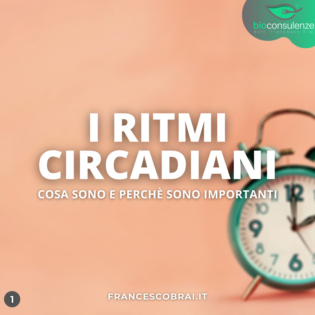 I Ritmi Circadiani: perchè sono importanti?